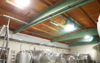 bodega-luz-natural bodega-luz-natural