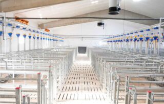 granja-luz-natural granja-luz-natural